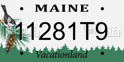 11281T9 Maine License Plate