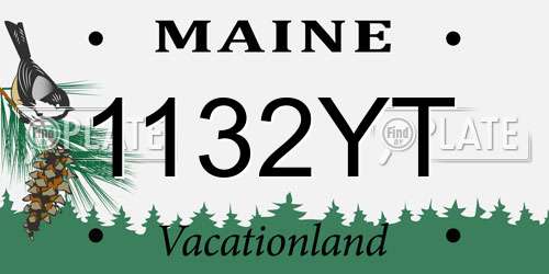 1132YT Maine License Plate
