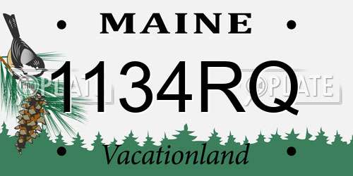 1134RQ Maine License Plate