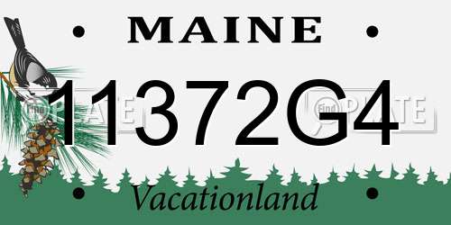 11372G4 Maine License Plate
