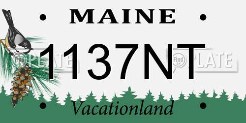 1137NT Maine License Plate