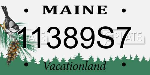 11389S7 Maine License Plate