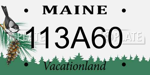 113A60 Maine License Plate