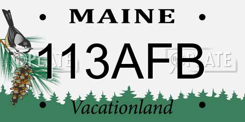 113AFB Maine License Plate