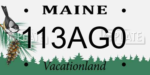 113AG0 Maine License Plate