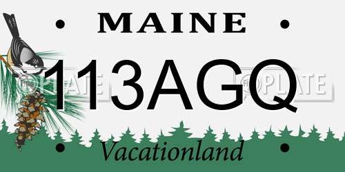 113AGQ Maine License Plate