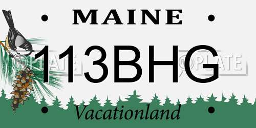 113BHG Maine License Plate