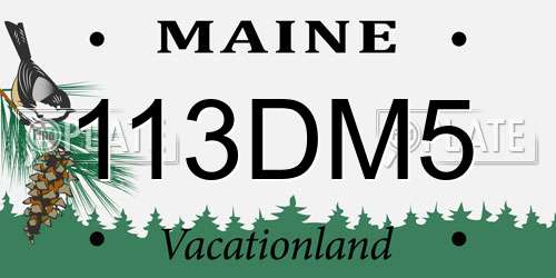 113DM5 Maine License Plate