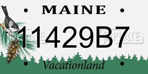11429B7 Maine License Plate