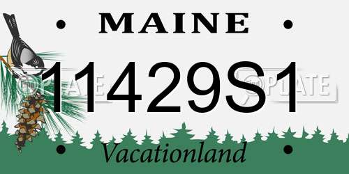 11429S1 Maine License Plate