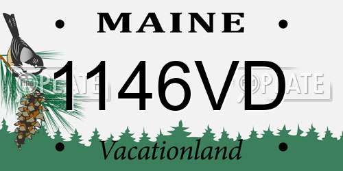 1146VD Maine License Plate