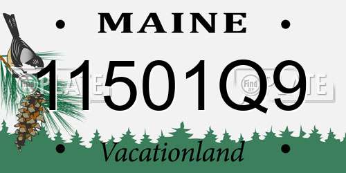 11501Q9 Maine License Plate