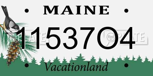 11537O4 Maine License Plate