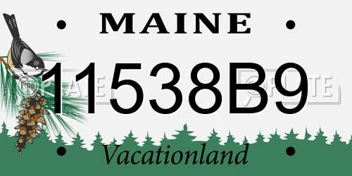 11538B9 Maine License Plate