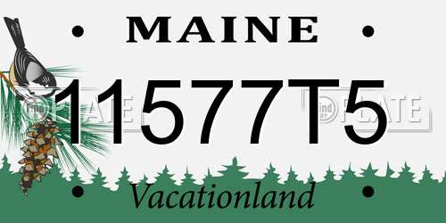 11577T5 Maine License Plate
