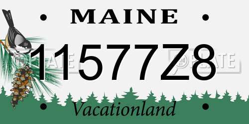11577Z8 Maine License Plate