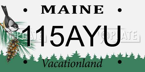 115AYU Maine License Plate