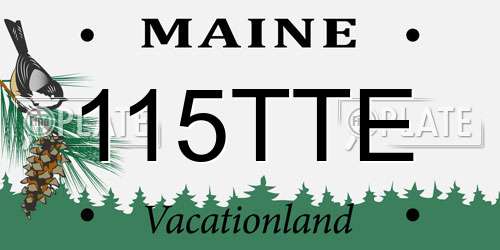 115TTE Maine License Plate