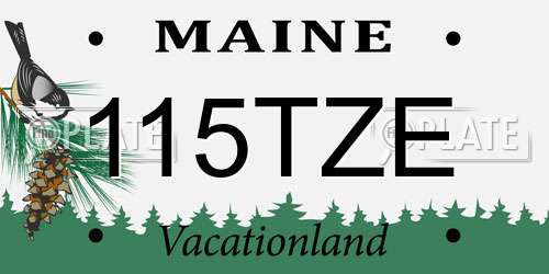 115TZE Maine License Plate
