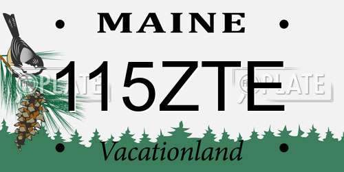 115ZTE Maine License Plate
