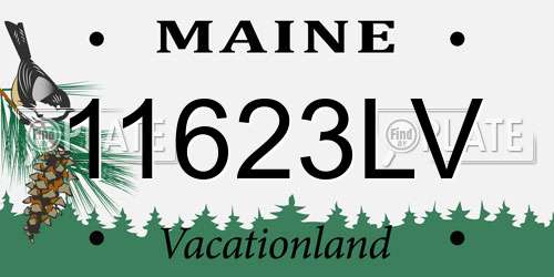 11623LV Maine License Plate