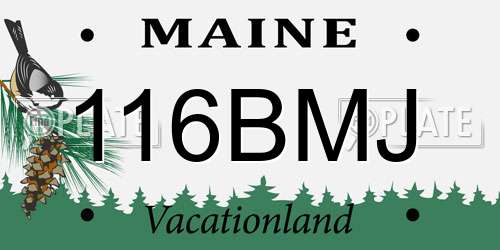 116BMJ Maine License Plate