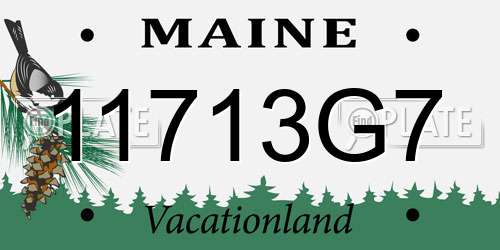11713G7 Maine License Plate