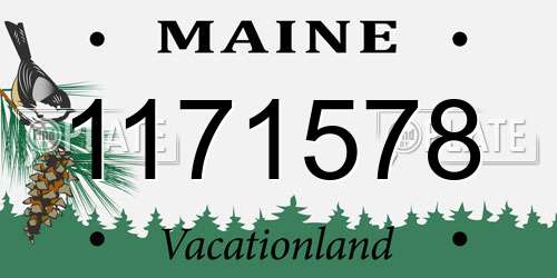 1171578 Maine License Plate