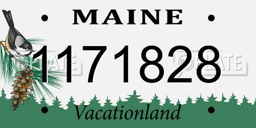 1171828 Maine License Plate