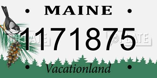 1171875 Maine License Plate