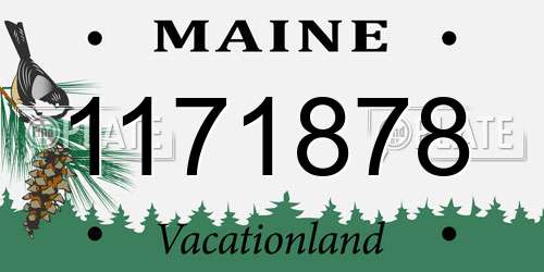 1171878 Maine License Plate