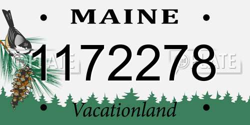 1172278 Maine License Plate
