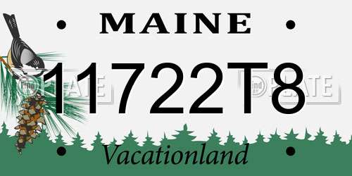 11722T8 Maine License Plate
