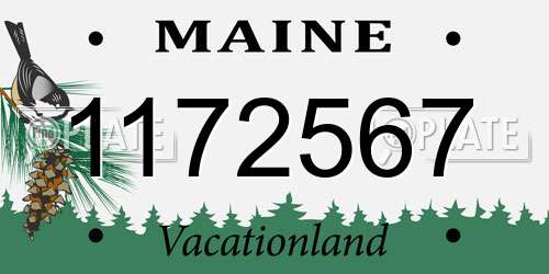 1172567 Maine License Plate