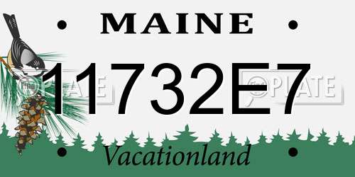 11732E7 Maine License Plate