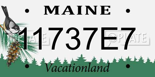 11737E7 Maine License Plate
