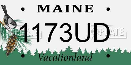 1173UD Maine License Plate