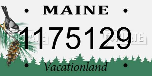 1175129 Maine License Plate
