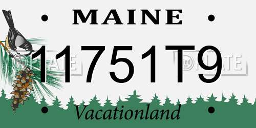 11751T9 Maine License Plate