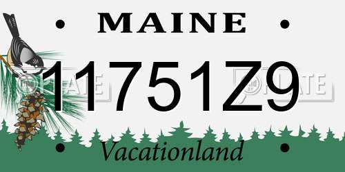 11751Z9 Maine License Plate