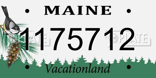 1175712 Maine License Plate