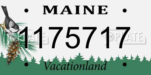 1175717 Maine License Plate