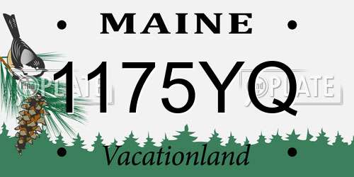 1175YQ Maine License Plate