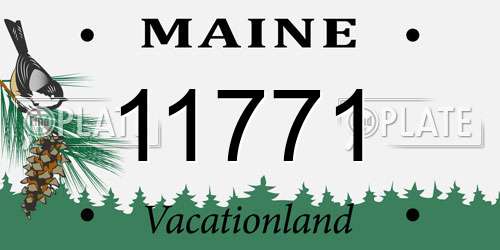 11771 Maine License Plate