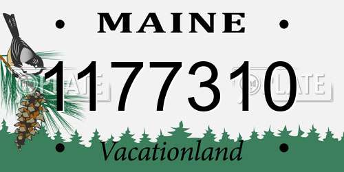 1177310 Maine License Plate