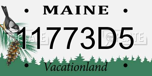 11773D5 Maine License Plate
