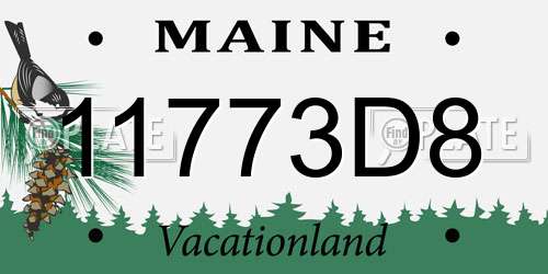 11773D8 Maine License Plate