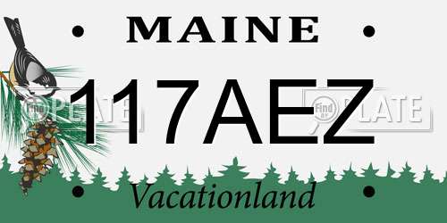 117AEZ Maine License Plate