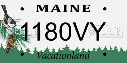 1180VY Maine License Plate