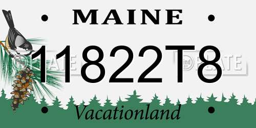 11822T8 Maine License Plate
